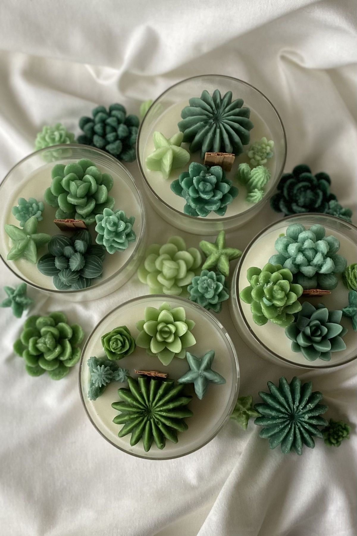 Succulent Garden